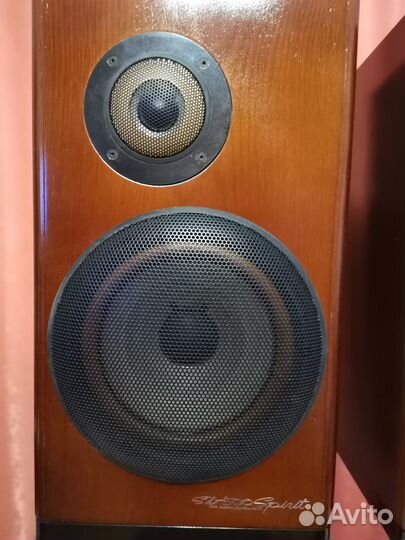 Акустика (колонки) Victor sx-500 Spirit