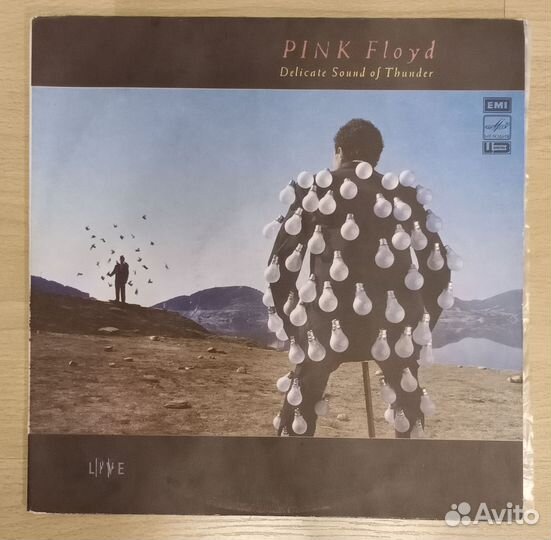 Pink Floyd delicate sound of thunder 2LP