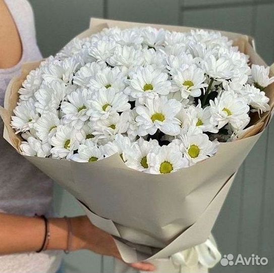Хризантема Букеты с доставкой