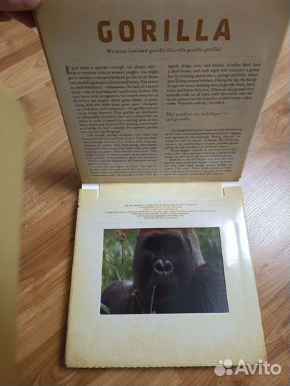 Книга на английском