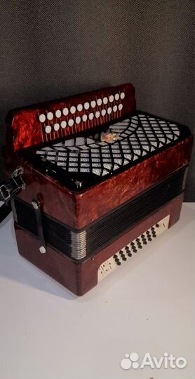 Гармонь Шуйская Чайка2