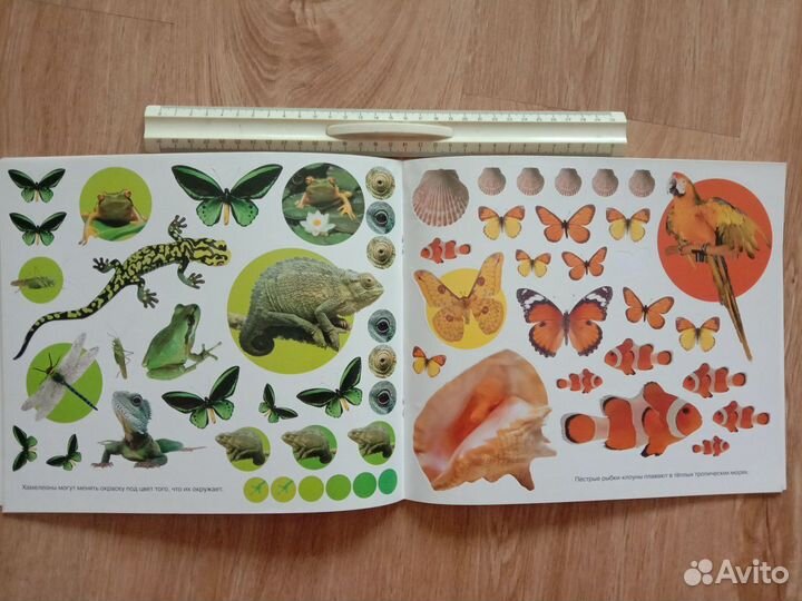 Развивающие книжки