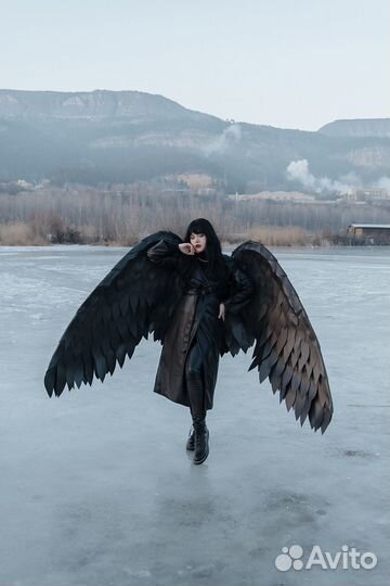 Крылья ангела черные
