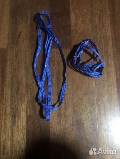 Шлейка и поводок