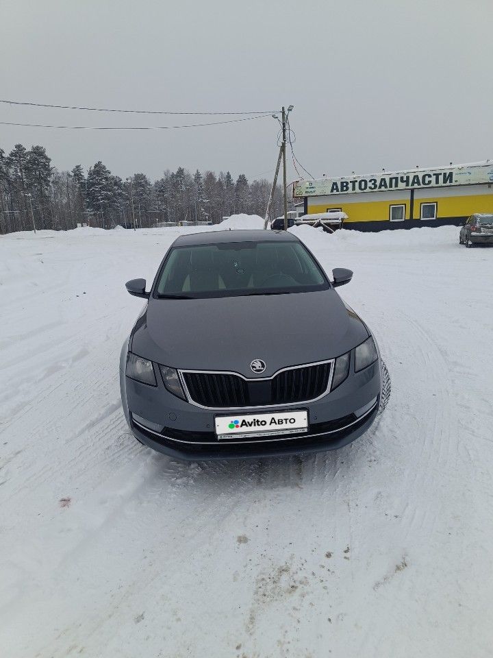 Skoda Octavia: фото владельца