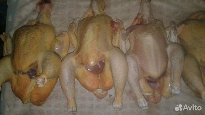 Мясо курицы домашнее