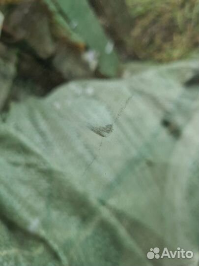 Стекло двери переднее правое Opel Astra H 2009