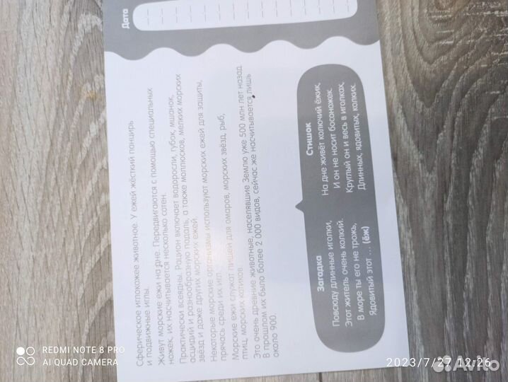 Развивающие карточки по методике Домана