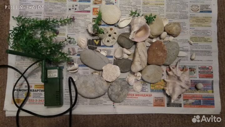 Камешки, ракушки, искусственные водоросли