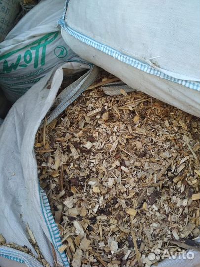 Щепа, опилки, стружка древесины хвойных пород