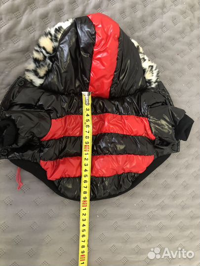 Одежда для собак