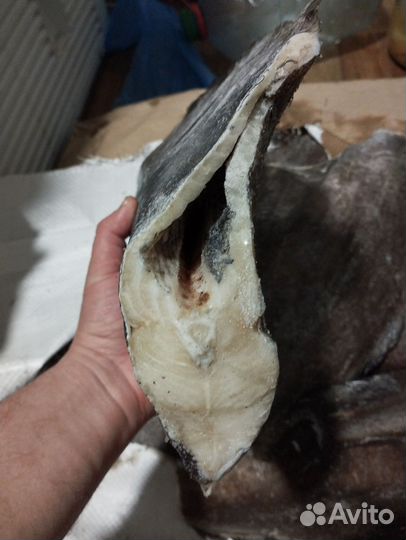 Палтус свежемороженый