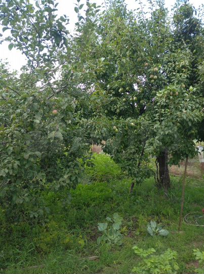 Дача 20 м² на участке 5 сот.