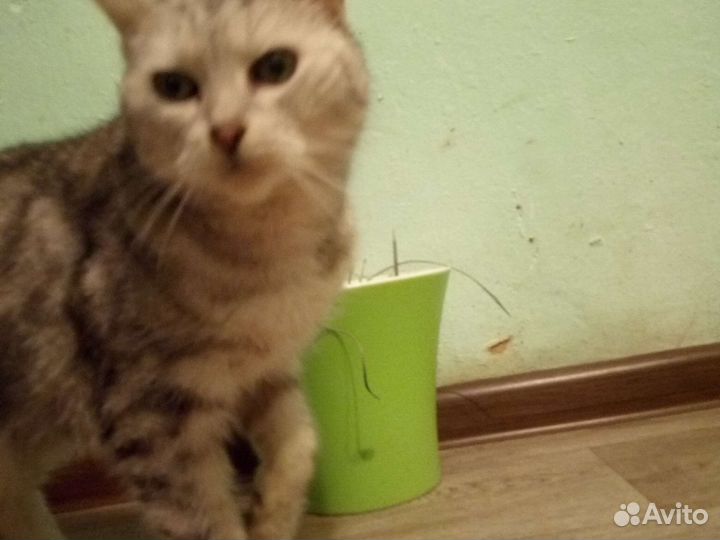 Кашпо разные