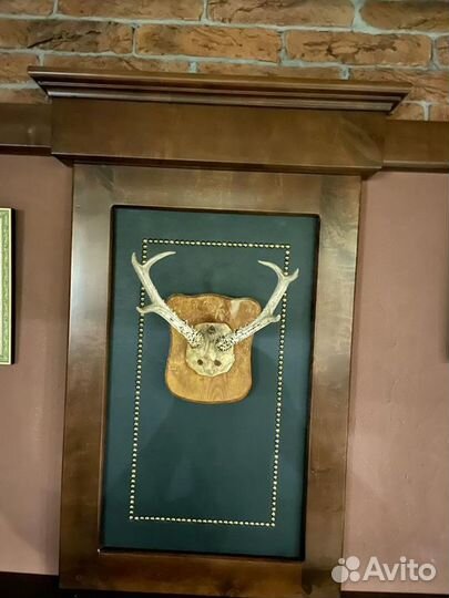 Рога настенные