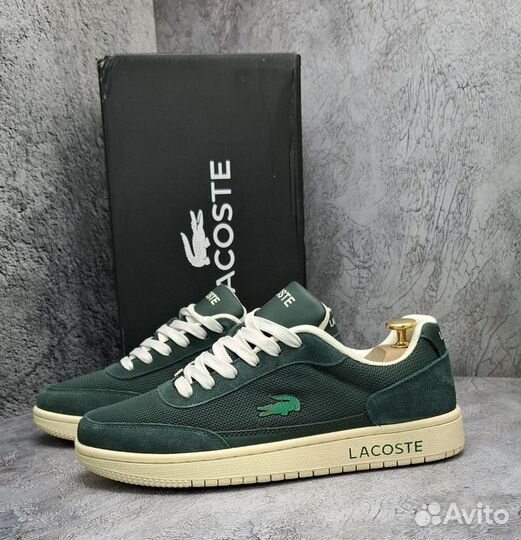 Красовки мужские Lacoste