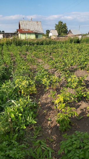 Дача 20 м² на участке 4 сот.