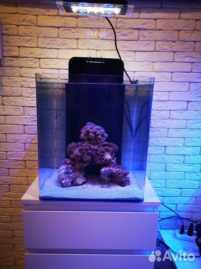 Морской готовый аквариум