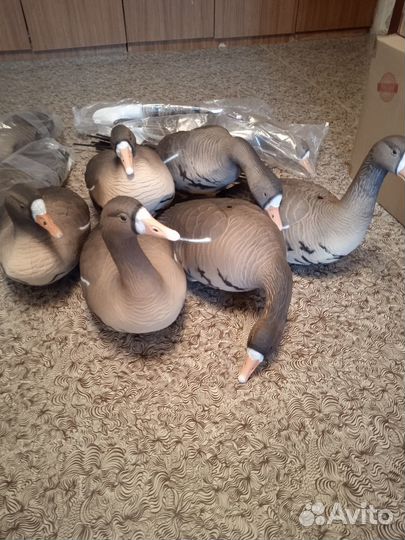 Чучела гусей Белолобый Softplast 3D BS-3D