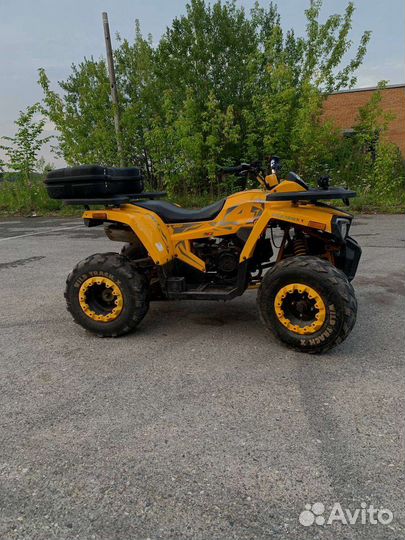 Квадроцикл Motoland wild track 200x