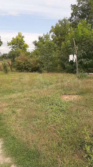 Участок 50 сот. (ИЖС)