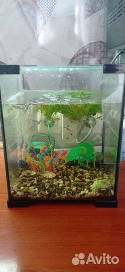 Аквариум