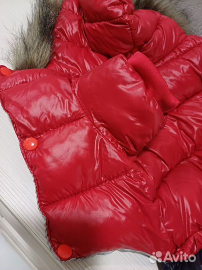 Одежда для маленьких собак новая