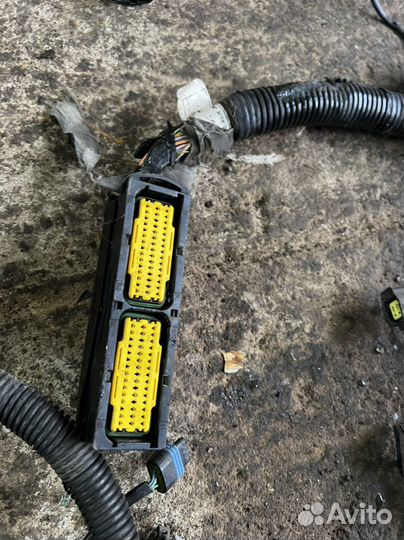 Daewoo nexia N150 жгут проводов на эбу