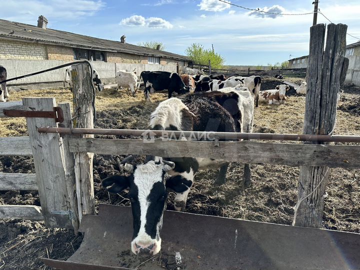 Продам помещение свободного назначения, 1500 м²