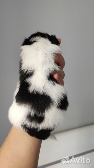 Японский хин