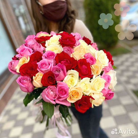 101 Роза Цветы 51 101 Роза