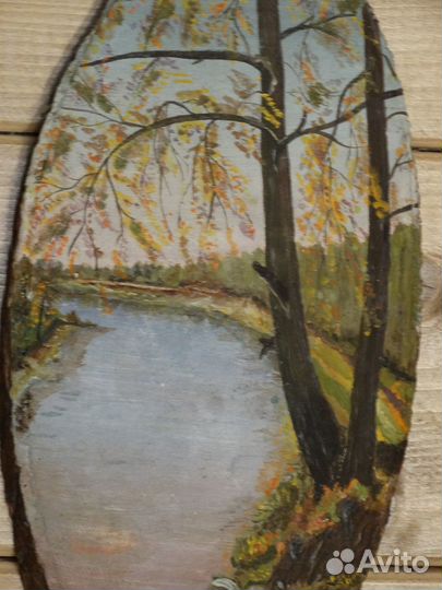 Картина срез дерева масло -Картина 1966г