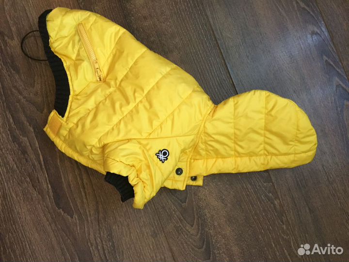 Одежда для собак