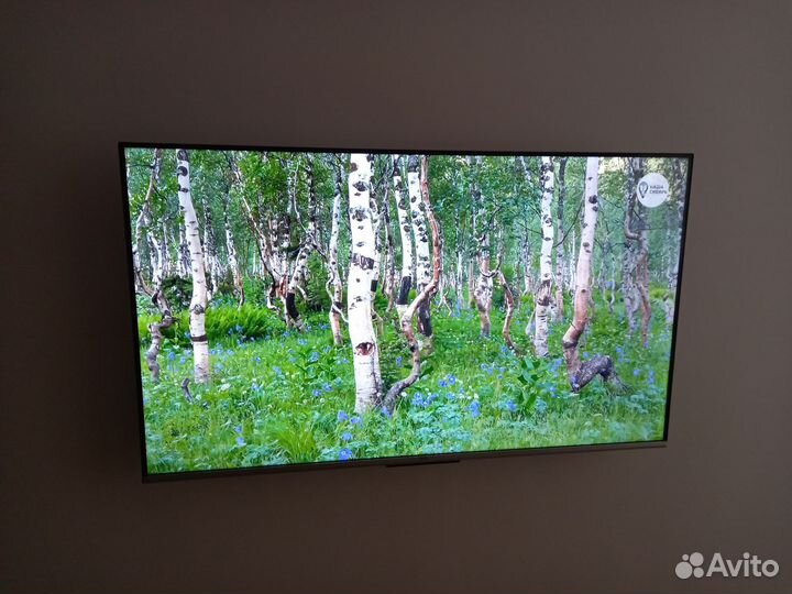 Телевизор TCL 43 P737 4K google TV