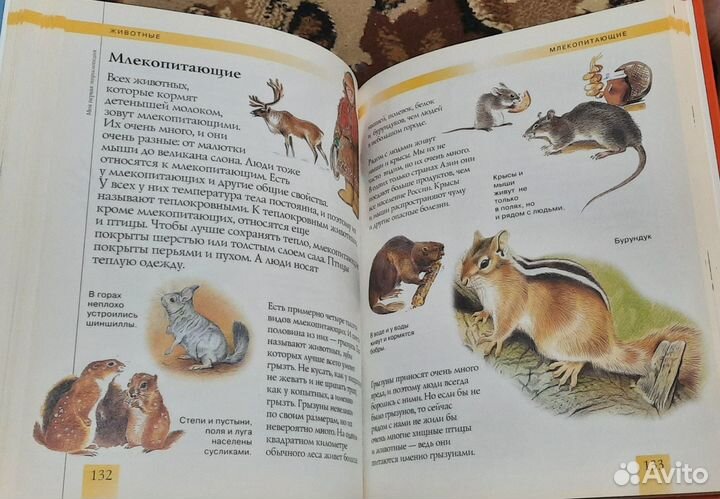 Моя первая энциклопедия