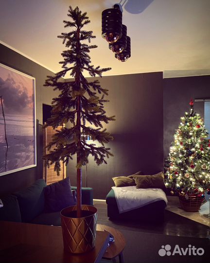 Винтерфест 2019 / Vinterfest 2019 IKEA