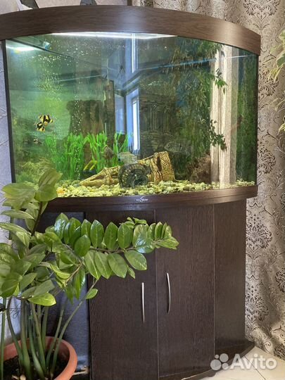 Продам аквариум