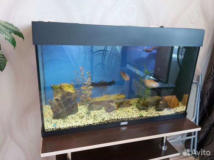Аквариум