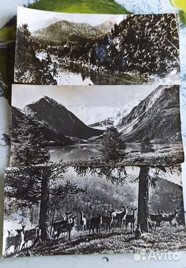 Фотографии