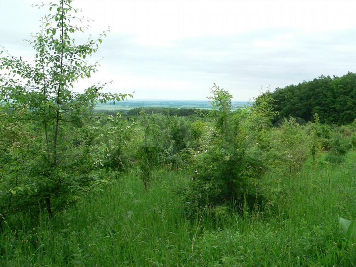 Участок 1,6 га (СНТ, ДНП)