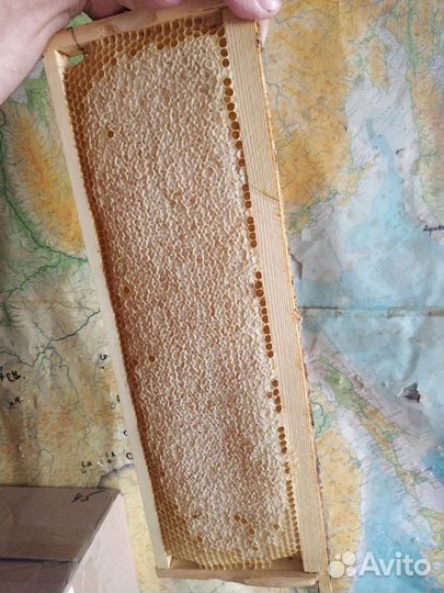 Сотовый Мёд, фасованый мед