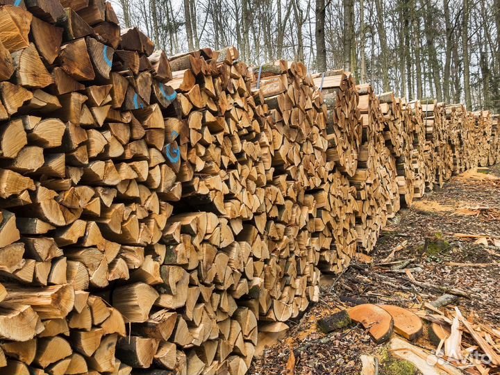 Дрова ольховые