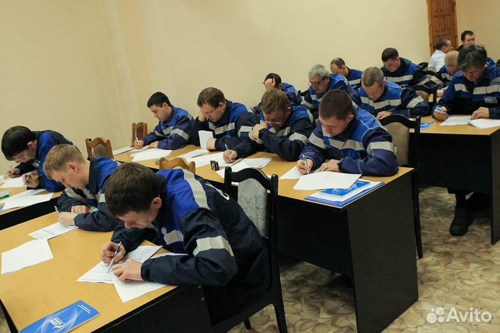 Организация обучения