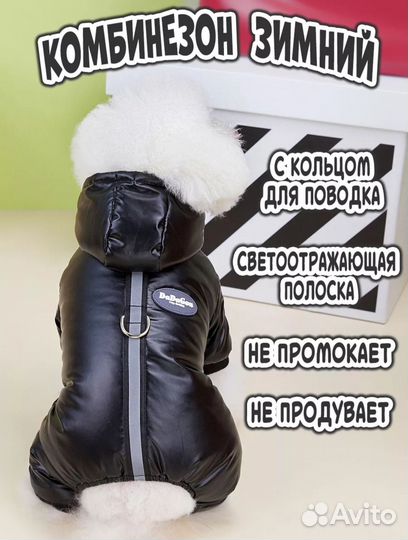 Одежда для собак мелких пород