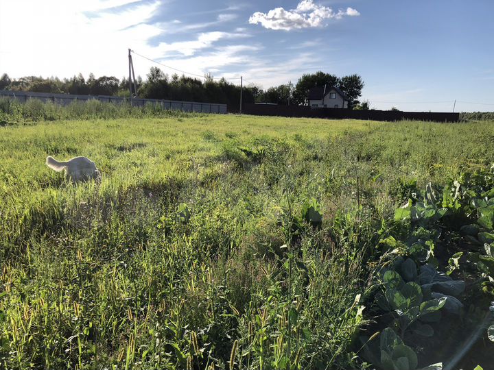 Участок 10 сот. (СНТ, ДНП)