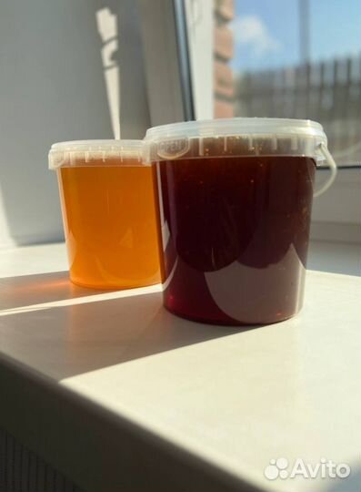 Мед оптом/Доставка по РФ