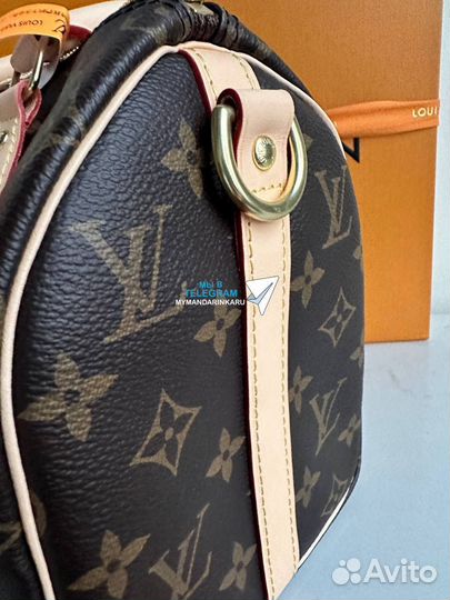 Сумка louis vuitton speedy 25