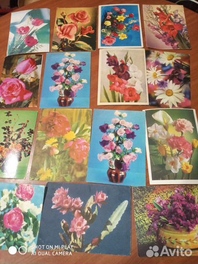 Открытки цветы 15 шт.1968 г