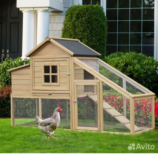 Курятник, вольер