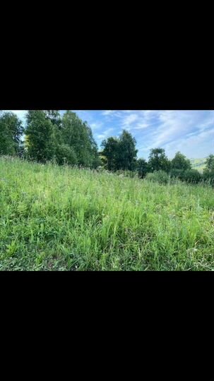 Участок 8,1 сот. (СНТ, ДНП)